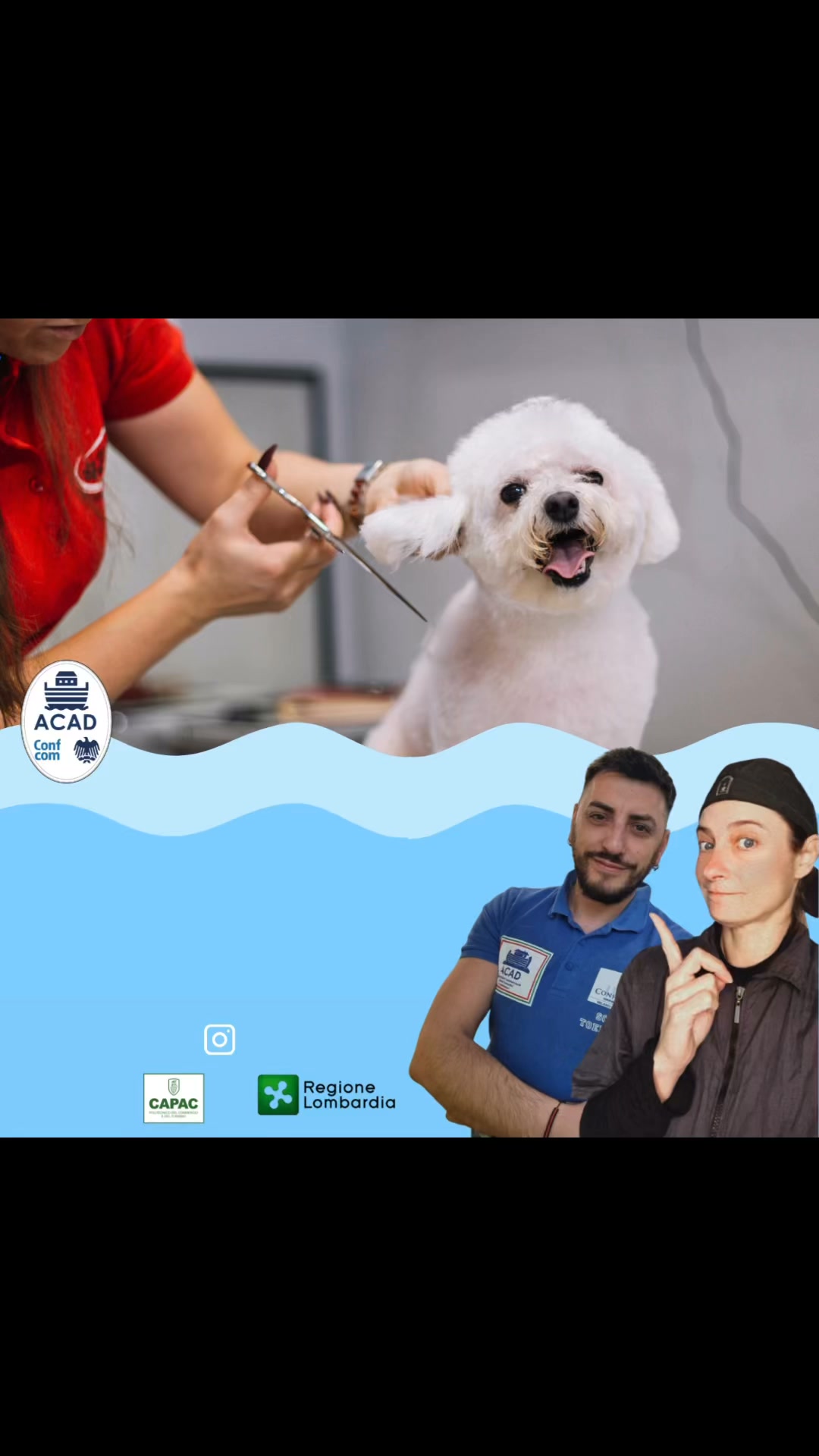 Vuoi imparare davvero il mestiere del toelettatore? Questo è il momento giusto per iniziare. Fino…