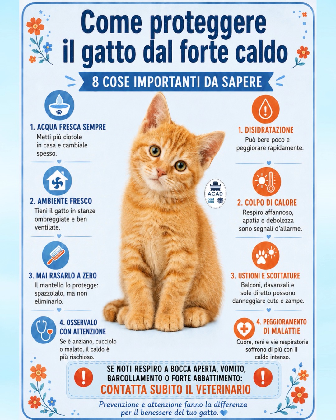 ☀️ Il grande caldo è alle porte… e i nostri amici a quattro zampe non…
